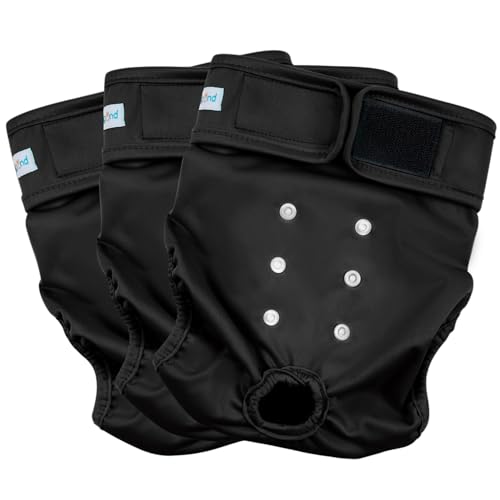 Image of Paw Legend Reusable Female Dog Diapers(3 Pack,Black,Medium)
