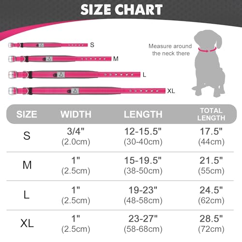 Joytale Halsband Hund, Weich Hundehalsband Gepolstert Neopren Hunde Halsband für Kleine Hunde, Nylon Reflektierend Breit Halsbänder, Leuchtend Rosa