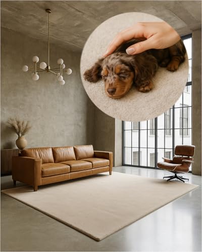 TEXMAXX Weicher Kurzflor Teppich Wohnzimmer mit rutschhemmender Rückseite (160 x 230 cm) - Modern für Flur, Esszimmer und als Schlafzimmer Teppich in Beige dunkel - Waschbar bis 30 Grad