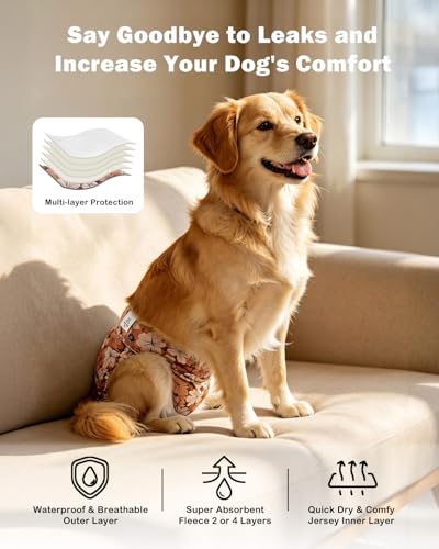Image of CuteBone Dog Diapers Female Washable Small Medium Large 3 Pack Reusable Doggie Diapers Puppy Period Pants for Doggy Heat Cycle Peeing