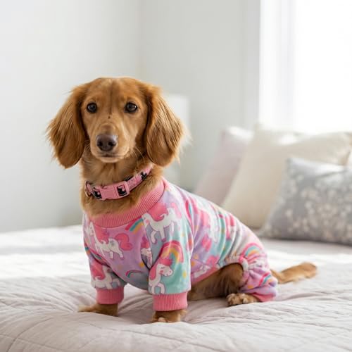 Image of Fitwarm Dreamy Unicorn Fleece Dog Pajamas, Fairy Winter Clothes for Small Dogs Girl, Cozy Pet Onesie, Pink, Blue, Large