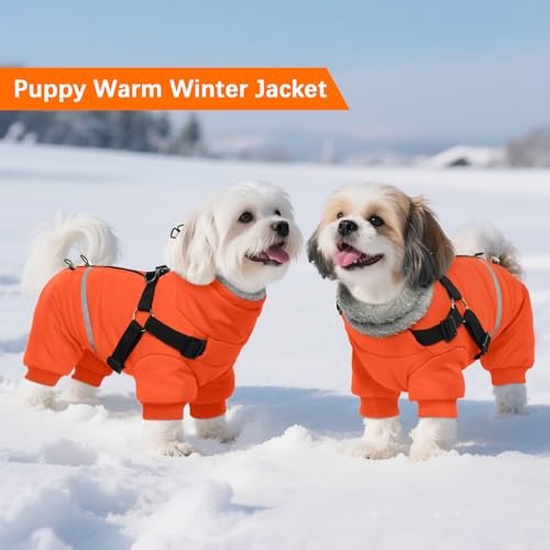 Image of BRKURLEG Small Dog Winter Coat with Harness Built in, Orange Winter Dogs Jackets, Fullbody Dog Coat, Dogs Snowsuits Reflective Windproof Cold Weather Coats, Pet Warm Fleece Coats, XL