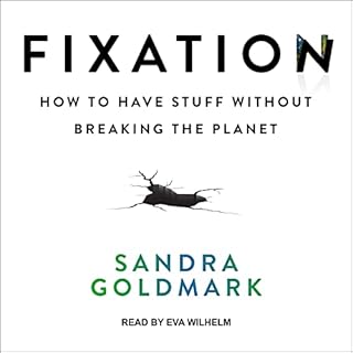 Fixation cover art