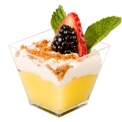 DLux 100 x 2oz Square Mini Dessert Cups (No spoons), Clear Plastic Parfait Appetizer Cup - Small Reusable Serving Bowl for Tasting Party Desserts Appetizers - With Recipe Ebook