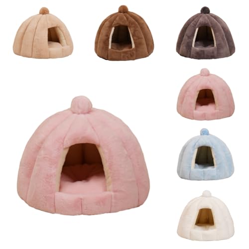 ZekonoLnEX ~p Lpxbh L h[^ xbh  p ybgpQ ۉh  _炩  ~ ^ Lbg lC p xe QNbVt (sN, 48CM×40CMia×j)