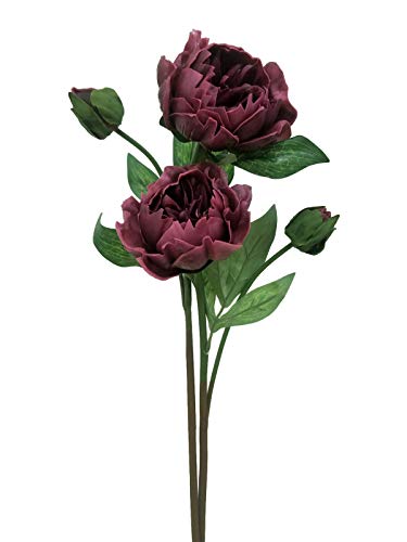 Floral Kingdom Real Touch Artificial Latex 20" Beijing Peony Flowers for Floral Arrangements, Bridal Bouquets, Home/Office Decor (2 PK) (Wine)