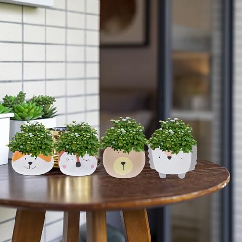 Plantes succulentes et cactus mini pots de fleurs design original - 5