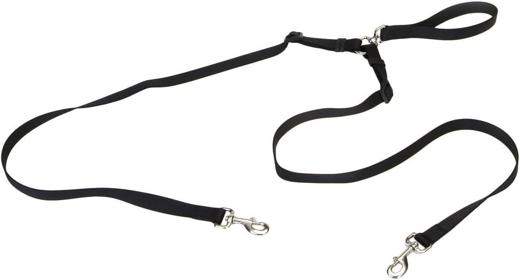 Coastal - 2 Dog Walker Tangle-Free Adjustable Leash, Black, 1" x 04'