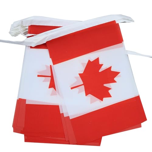 AZ FLAG - Guirlande Drapeau Canada - 6 Mètres Avec 20 Fanions Canadien De 21x14 cm - Petits Drapeaux 100% Polyester - 60g