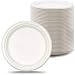 Green Earth - Natural Bagasse (Sugarcane Fiber) Tree Free 10" Paper Plate / Biodegradable / Compostable (500 Counts Disposable Plates)