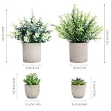 Consejos y reviews para comprar Plantas artificiales para sala comprados en linea. 23 Imagen adicional