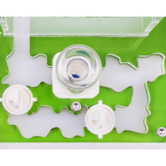 Kit éducatif de Fourmis Anthouse avec Reine Incluse - Fourmilière Acrylique Professionnelle 10 x 12 x 1,3 cm pour Enfants et débutants | Ferme de Fourmis pour Observation et Apprentissage (Vert)