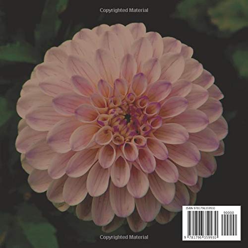 Sacred Geometry: Specialty Graph Paper For Sacred Geometry Drawings - Image 2