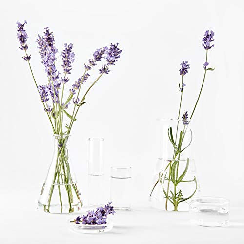 Organic - Lavandin Glow Facial Oil 30 ml - Image 5