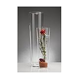 bodenvase glas 120 cm Lieferumfang: 1x GlasvaseMarke: Sandra RichSerie: ConicalMaterial: GlasHöhe: 70 cmDurchmesser: 19 cmFarbe: klarDurchmesser oben: ca. 19 cmDurchmesser unten: ca. 14 cmWandstärke: ca. 0,3 - 0,5 cmProduktionstechnik: hot cut