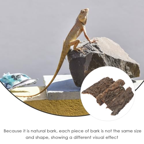 Homoyoyo Korkrinde Für Reptilien – 4 Stück Baumrinde Für Terrarien - Ideal Als Kletter- Und Versteckmöglichkeit Für Eidechsen Schildkröten Und Andere Reptilien Natürliche Dekoration