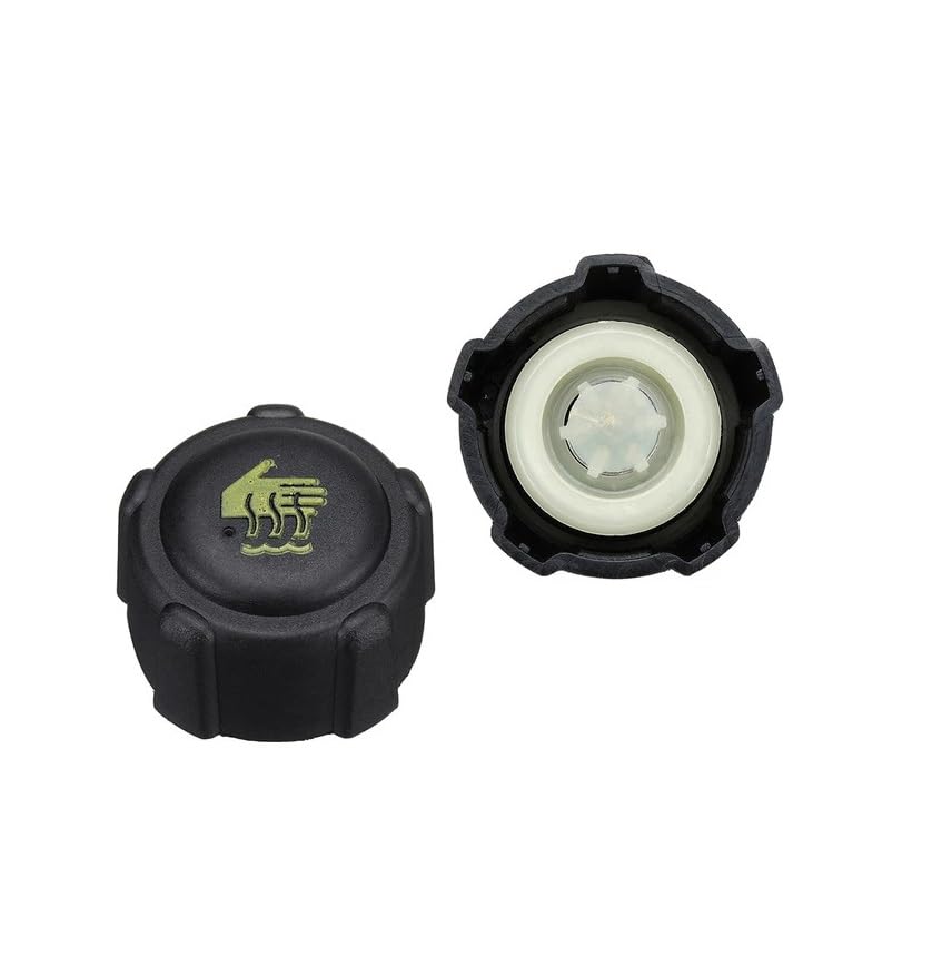 Radiatore Cap For Renault Clio Kangoo Laguna Megane Espace Scenic Trafic Modus 8200048024