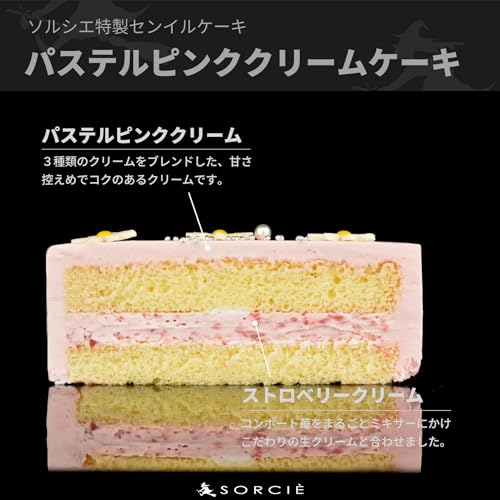 ソルシエ クリスマスケーキ センイルケーキ ピンク 4号 直径13.5cm の商品画像 2