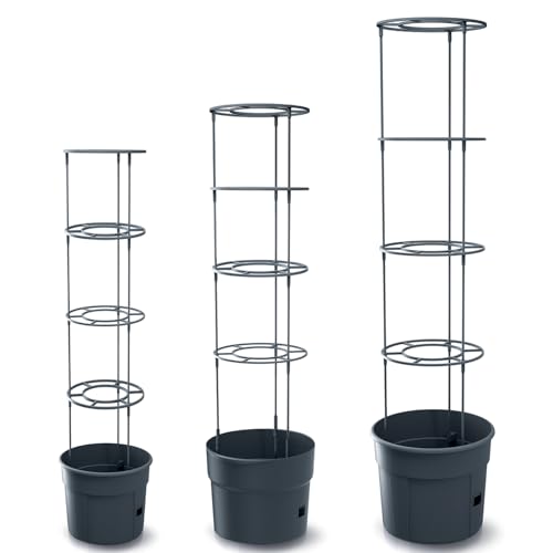 Prosperplast Anzuchttopf für Tomaten mit Rankhilfe – Pflanzkübel aus robustem Kunststoff | anthrazit | wetterfest & UV-beständig |39,2 x 153 cm | ideal für Garten & Terrasse