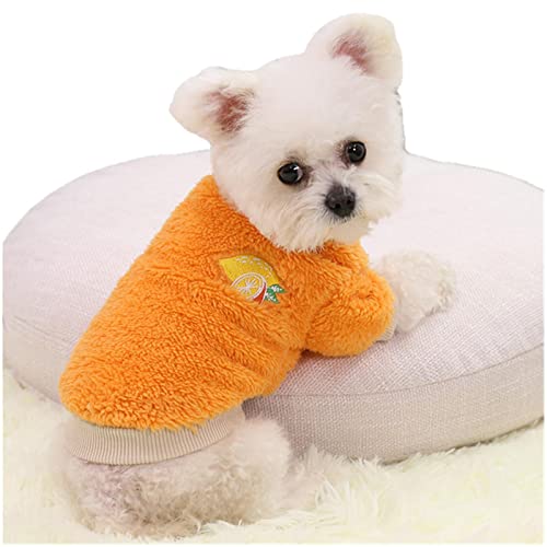 Manteau chat et chien en peluche UKKO pour balades d'automne chaleureuses