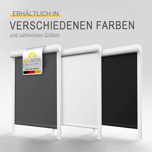 Sol Royal Kassettenrollo mit Führungsschiene SolReflect K24 60x175 cm Anthrazit - Blackout Thermorollo seitliche Führungsschienen - Befestigung ohne Bohren - Verdunkelungsrollo 60cm breit