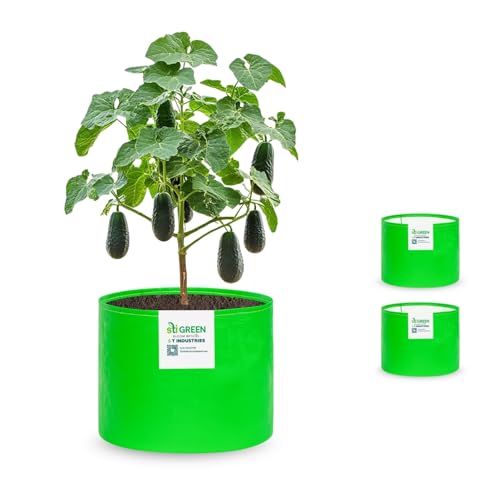 Image of HDPE Grow Bags for Plants 12X15 Inch (Pack of 3) | 260 GSM Heavy Duty UV-Protected Round Green Colour Plant Bags for Terrace and Vegetable Gardening | Strong & Reusable|