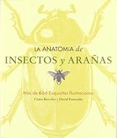 La anatomía de insectos y arañas 8495677334 Book Cover