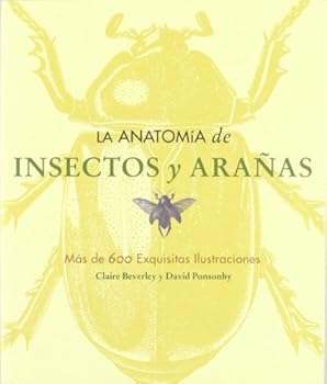 Paperback La anatomía de insectos y arañas [Spanish] Book