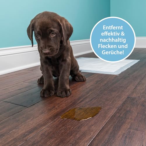 Enzymreiniger Hundeurin 750 ml – extrem stark gegen Hundepipi, Uringeruch und Flecken – biologisch, tierfreundlich, geruchsneutral – für Sofa, Teppich, Textilien, Auto, Hundebett & Boden – PIPI-Weg