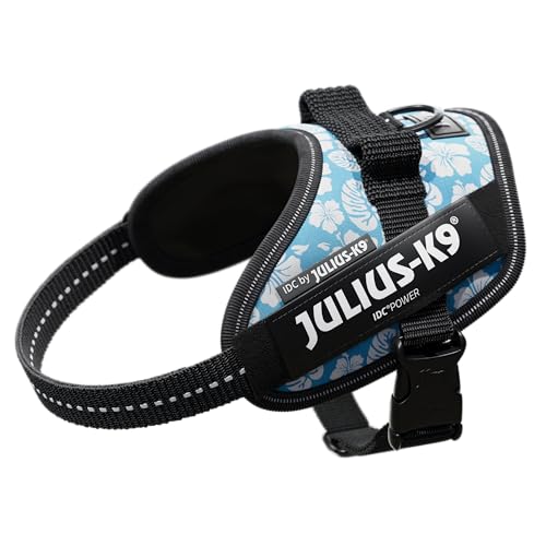 IDCp[n[lX, TCY: XS/~j~j, AnXJCu[