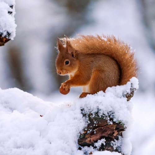 Creating Beautiful Surprises