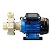 Centrifugal Pump Industrial Acid And Alkali Resistant Anti-corrosion Aelf-primin Pump Centrifugal(220V,CN_C3)