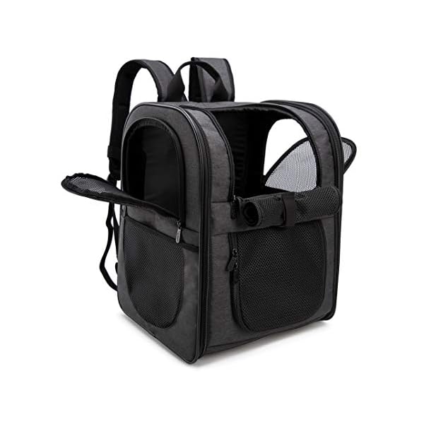 Apollo-Walker-Pet-Carrier-Backpack-for-LargeSmall-Cats-and-Dogs-Puppies-Safety-Features-and-Cushion-Back-Support-for-Travel-Hiking-Outdoor-Use-Black Apollo Walker Pet Carrier Backpack for Large/Small Cats and Dogs, Puppies, Safety Features and Cushion Back Support for Travel, Hiking, Outdoor Use (Black)