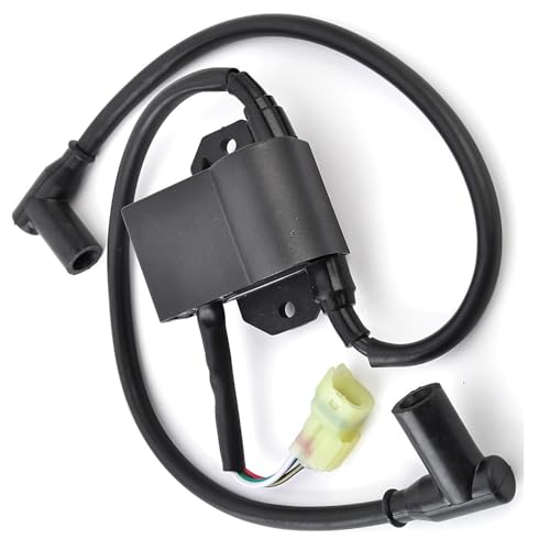 Bobine d'allumage 420965756 420965757 pour motoneige Formula S Skandic 500