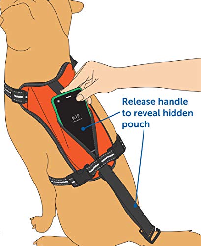 Petsafe Walk-Along Outdoor Dog Harness, No-Pull Solution, Water-Resistant, Zippered Pouch For Storage, Built-In Car Restraint, Medium #TOP3
