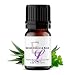 Green Clover and Aloe Fragrance Oil, 10 ml