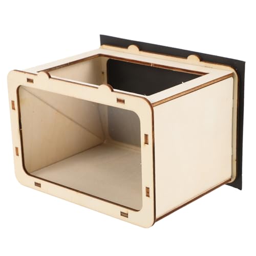 TOYANDONA Projecteur Holographique 3D pour Enfants Jouet Dexpérimentation Scientifique pour Étudiants Assemblé