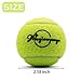 Magicorange Tennis Balls, 12 Pack Advanced Training Tennis Balls Practice Balls, Pet Dog Playing Balls, Come with Mesh Bag for Easy Transport, Good for Beginner Training Ball (Green)