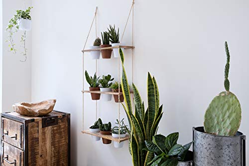 Kimisty Wall Hanging Herb Planters, 3 Tiered Vertical Planter Shelf With Metal Pot Set, Indoor Garden, Wood Herb Garden For Kitchen, Vertical Hanging Planters Wall Hanging - Terracotta & White Pots #TOP4