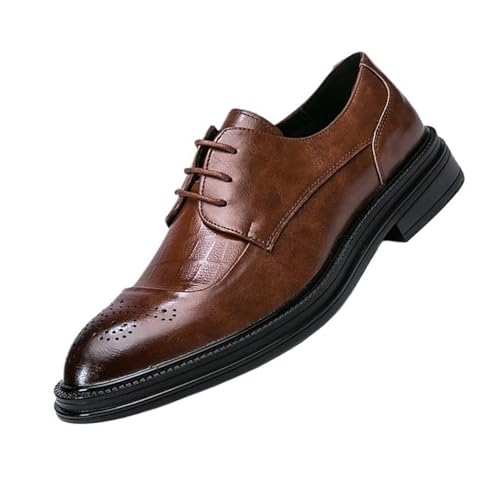 Men’s Comfort Oxfords Dress Shoes, Lace-up Fashion Classic Pointed Toe Comfortable Loafers Wedding Prom Formal Dress Casual Shoes for Men