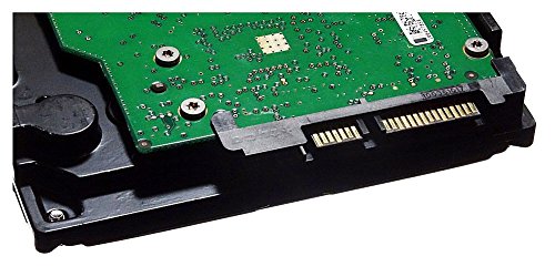 Maxtor Disque dur DiamondMax 20 80 Go SATA pour informatique