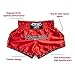 YOKKAO Muay Thai Shorts - Institution Carbonfit Dry-Fit Satin Relaxed Fit MMA Training Boxing Shorts for Men & Women - Red, X-Small