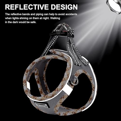 DORAMIO Hundegeschirr Kleine Hunde mit Leine, Step-in Geschirr Reflektierend Atmungsaktiv Brustgeschirr Anti Zug Sicherheitsgeschirr Katzengeschirr für Kleine Hunde, Katzen (Grau, XXS)