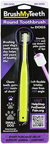 Brush My Teeth Small Dog Toothbrush, Rounded Brush Head -Soft Bristles, Multicolor