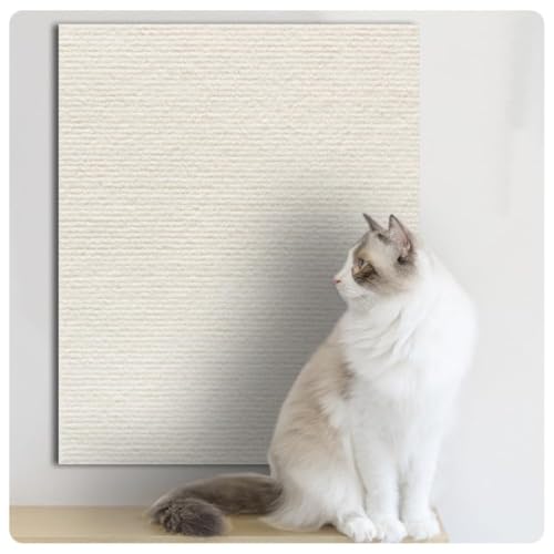 SearEase L ܌ L ܌h~V[g Lp܂Ƃ}bg ߂Ƃ ܌ DIYRȑgݗ L ߂Ƃ|[yA Lbg^[yA J[ybg RɃJbgł \t@[  ǂɓ\  [ Ƌی ϖ (A,