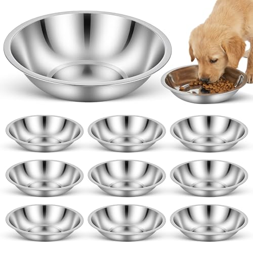 Set di 10 ciotole per animali domestici in acciaio inox, 20 cm, contenitori multiuso per animali, argento