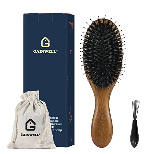 GAINWELL Small Hair Brush, Boar Bristle Hairbrush for Detangling & Smoothing Thick Curly Thin Long or Short Hair, Mini Hair Brush for Purse Gym Bag Car Locker