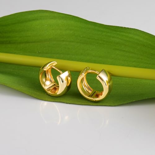 Chunky Hoop Earrings for Women 14k Gold Plated Sterling Silver Huggie Hoops Earrings Small Thick Gold Silver Hoop Earing Jewelry3