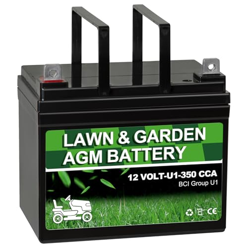 Autocessking Lawn & Garden AGM Battery Group U1