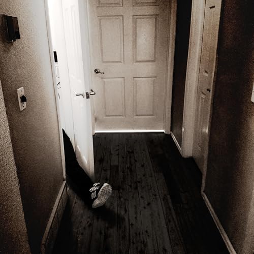 The Closet of Nonsense cover art